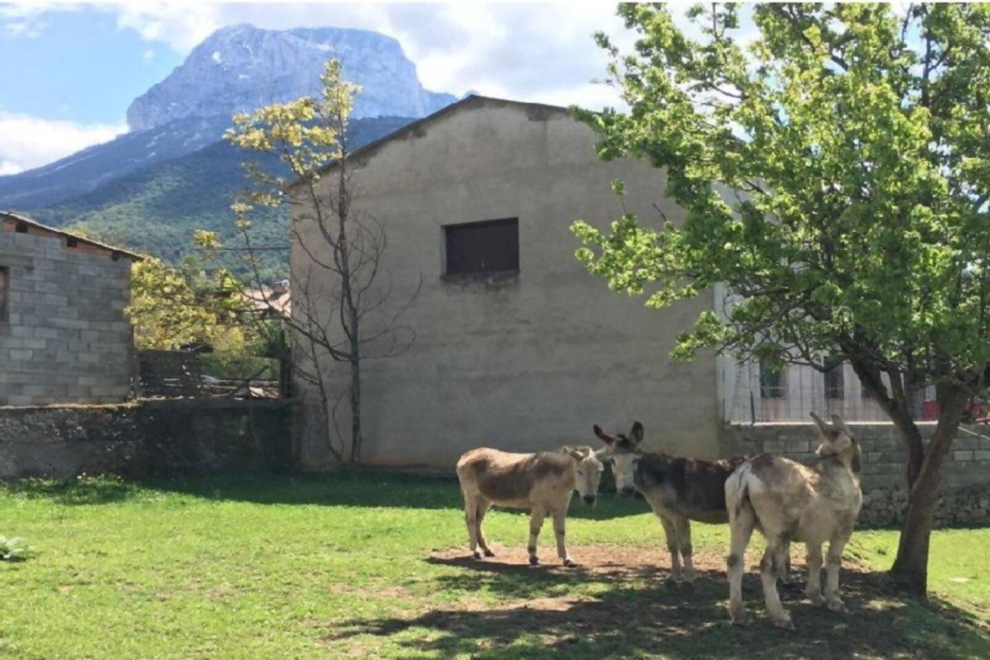 Duplex La Valle Ordesaainsa Laspuna Luaran gambar