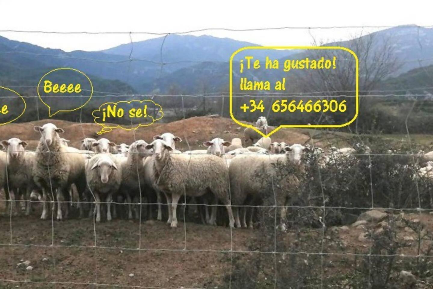 Duplex La Valle Ordesaainsa Laspuna Luaran gambar